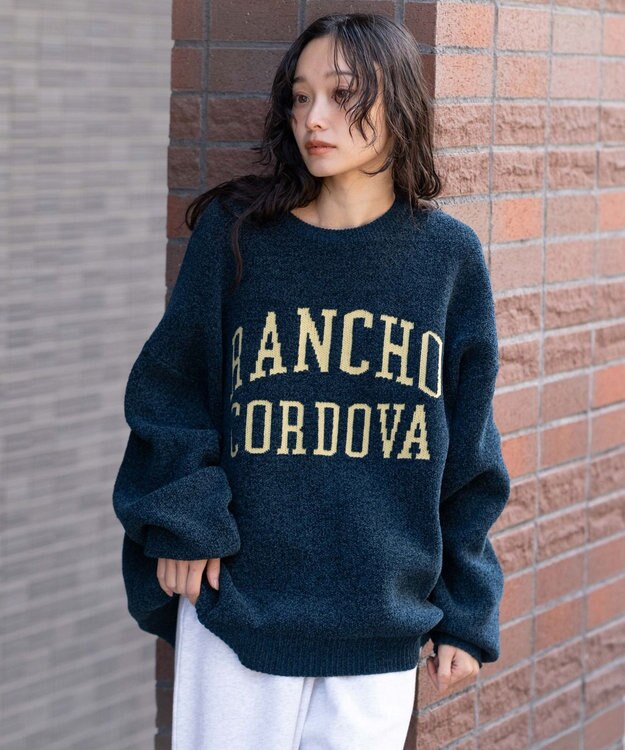 WEGO 【ユニセックス着用ITEM】ベロアモールグラフィックプルオーバー ネイビー