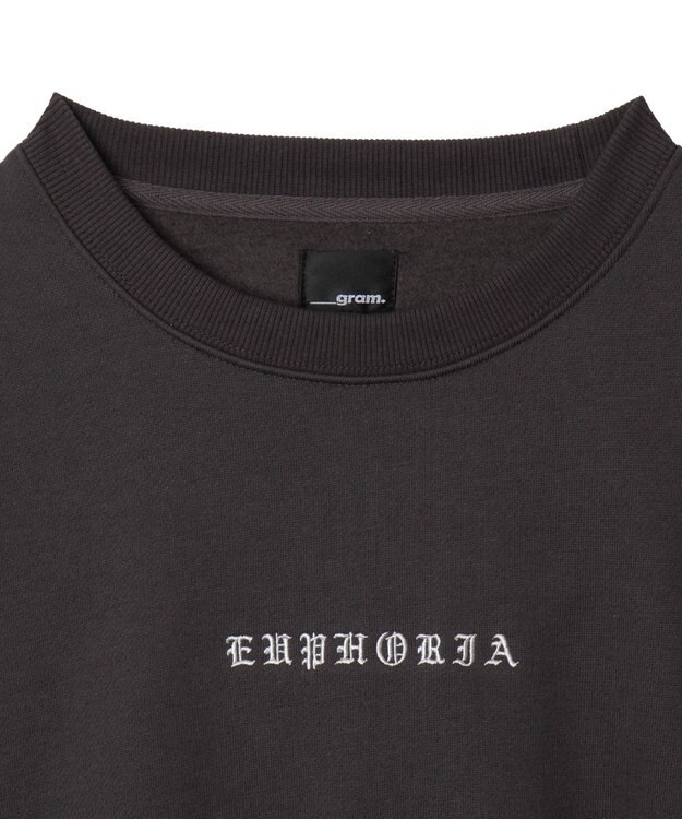 WEGO 【ユニセックス着用ITEM】アーチバックロゴグラフィックプルオーバー ブラック中濃色