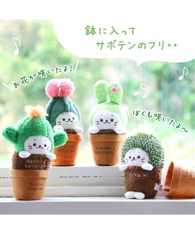 Mother garden しろたん サボテン マスコット 《うちわサボテン》 うちわサボテン