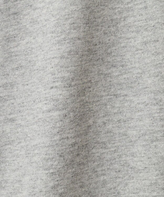 AMERICAN HOLIC BROOKLYN カレッジロゴBIGTシャツ Gray Mixture