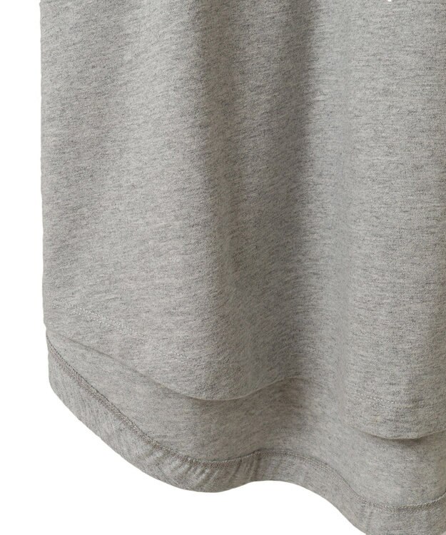 AMERICAN HOLIC BROOKLYN カレッジロゴBIGTシャツ Gray Mixture