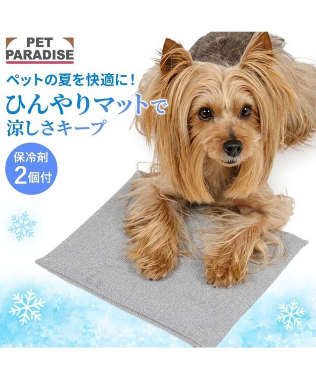 PET PARADISE ペットパラダイス  コンパクトクーラー グレー 2026 グレー