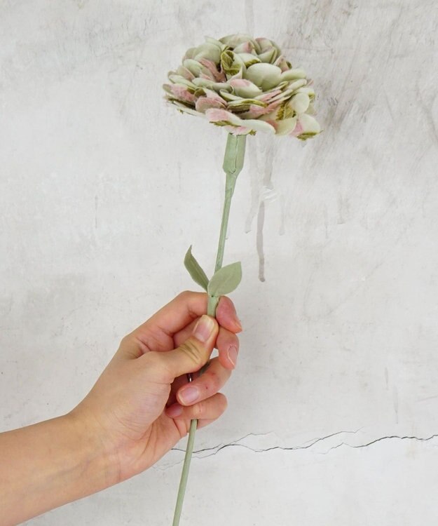 POLS 母の日ギフトセット(Mサイズ) ピンク