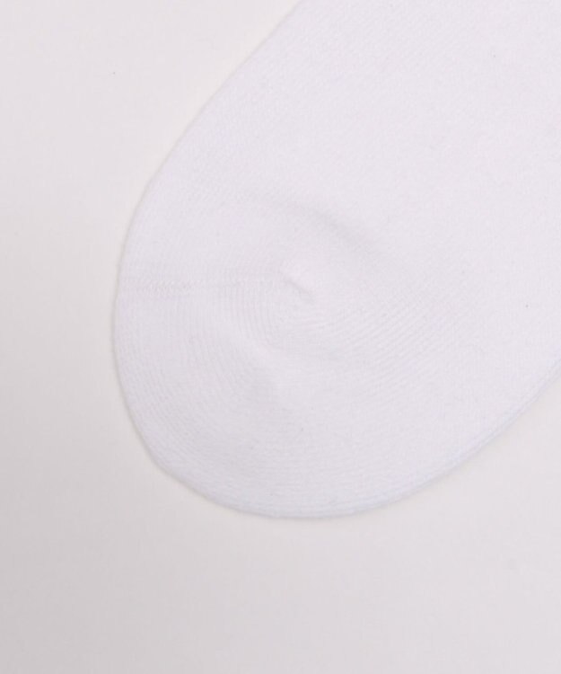 WEGO EXCEEDロゴリブソックス ホワイト