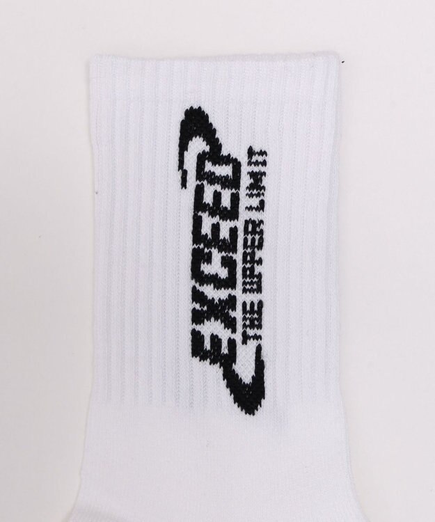 WEGO EXCEEDロゴリブソックス ホワイト