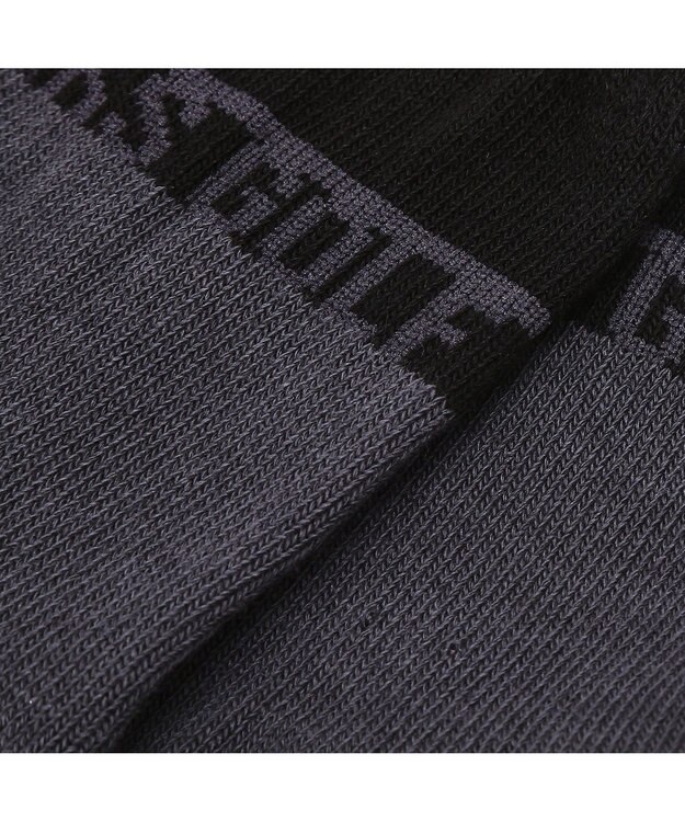 DAKS 【DAKS GOLF】綿混パイルソックス グレー