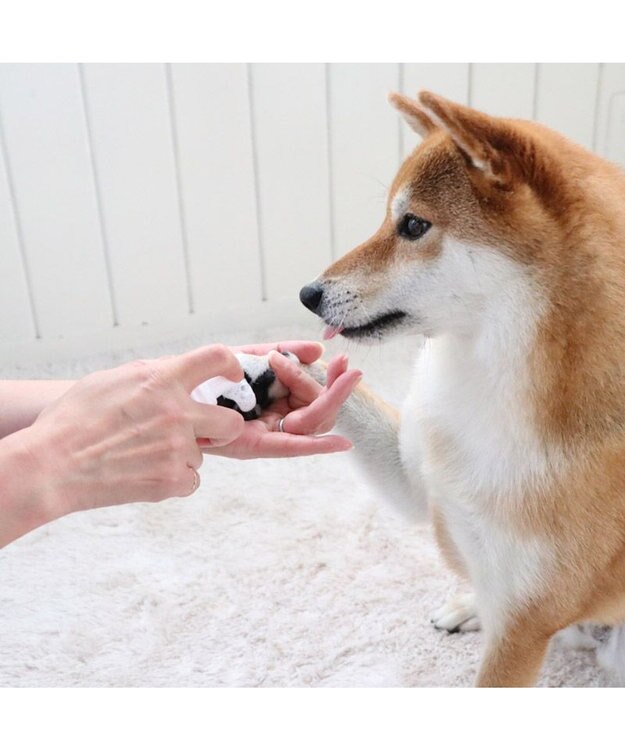 PET PARADISE ペットパラダイス 肉球ケア スプレー 100ｍＬ -