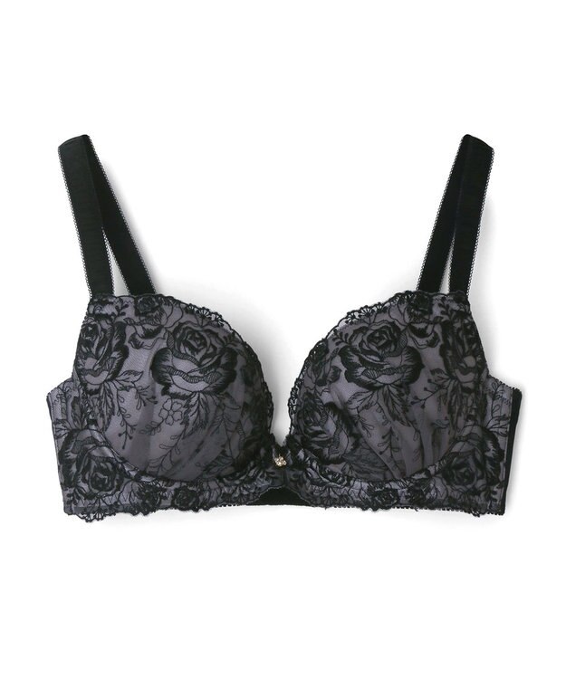 San-ai Resort（三愛水着楽園） 【エレガントコレクション2402】単品ブラEFGカップ 【northerly】 ブラック