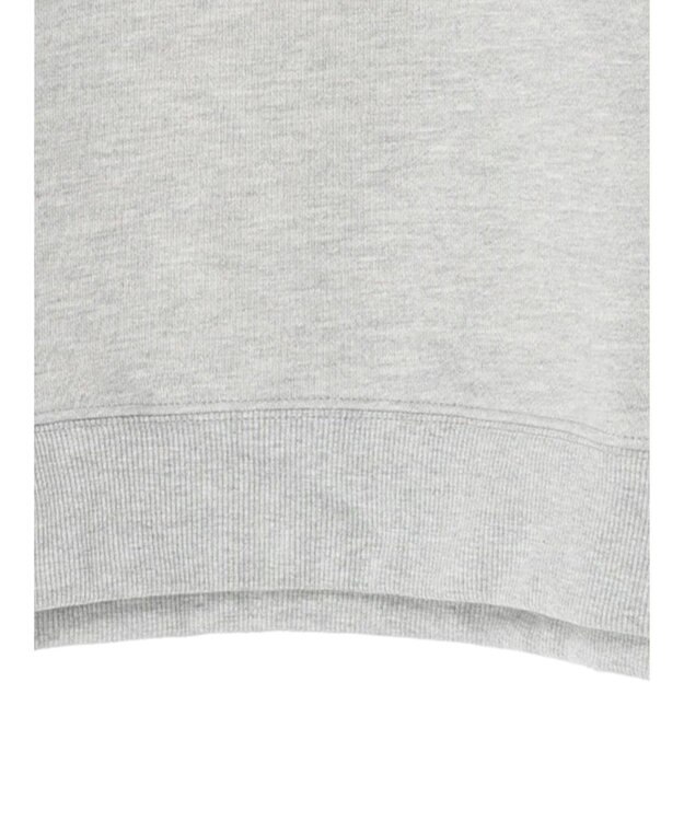 Green Parks Ｄｉｓｎｅｙ／裏起毛フロッキープリントスウェット Gray Mixture