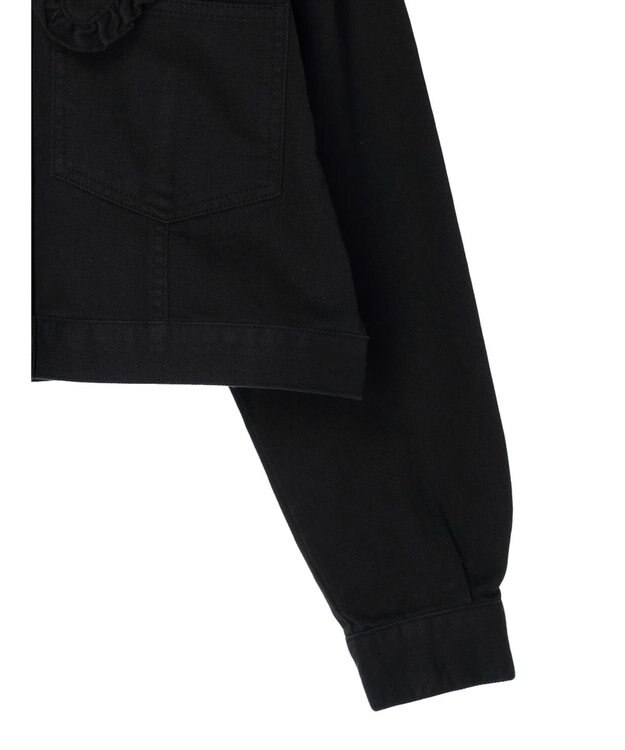 Green Parks ・Ｄｏｕｂｌｅ　Ｆｌａｇｓ　フリルカラージャケット Black