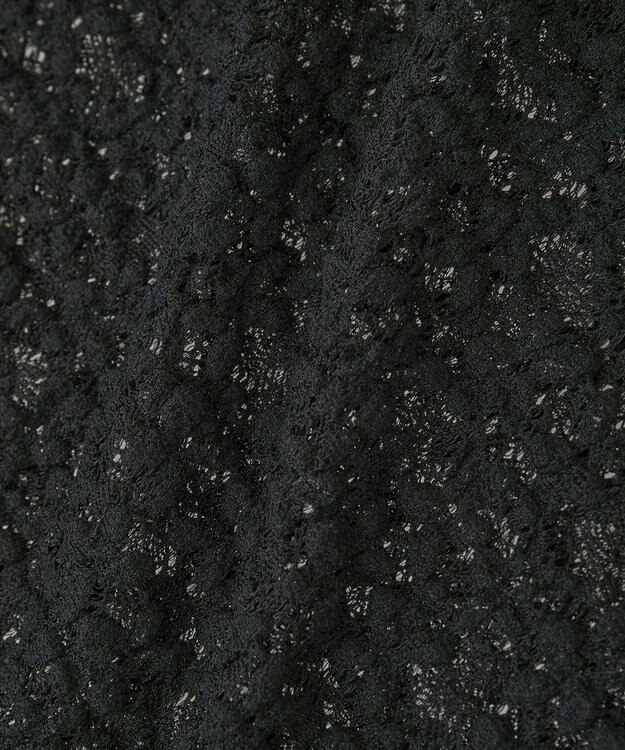 Green Parks カットレースシャツプルオーバー Black