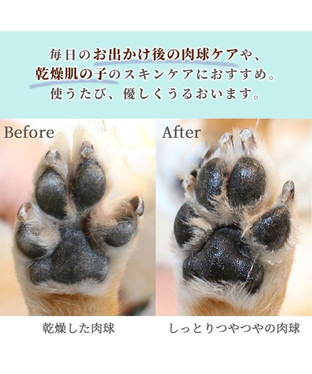 PET PARADISE ミネラルミューズ パウ＆スキンケアクリーム 50mL 青