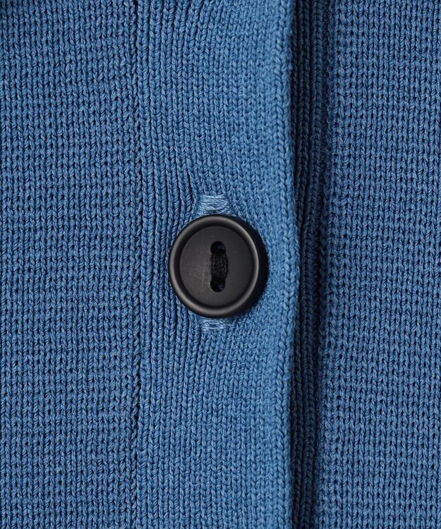 ANY ミラノリブニットポロ ブルー