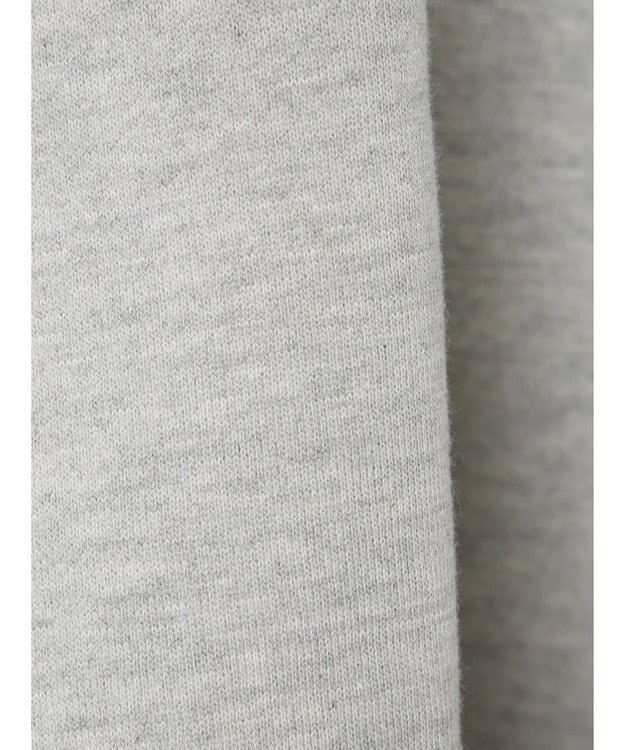 Green Parks Ｄｉｓｎｅｙ／裏起毛フロッキープリントスウェット Gray Mixture