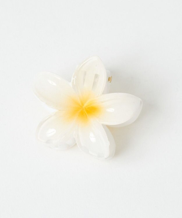 WEGO Lミニフラワーバンス 柄1