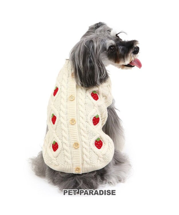 PET PARADISE ペットパラダイス アランニット 苺柄 《ホワイト》 小型犬 ホワイト