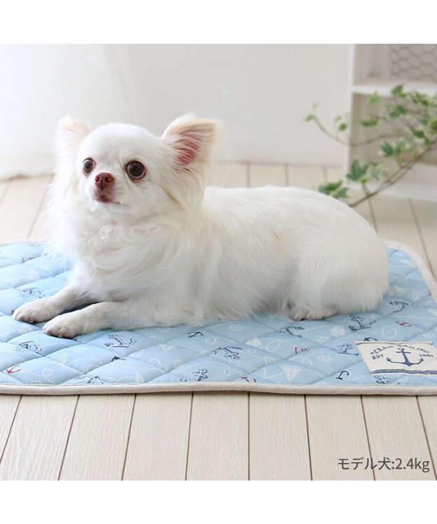 PET PARADISE ペットパラダイス クール マット 《マリン柄》 48×40cm マリン柄