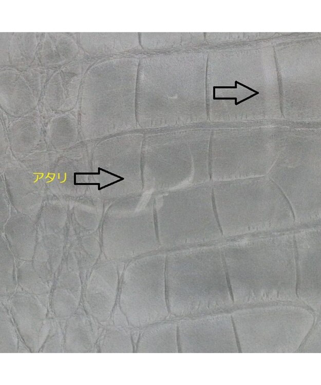 Regalo Felice 【お財布機能付き / 人気商品がリニューアル】ポシェット / REGALO DGY(ダークグレー)