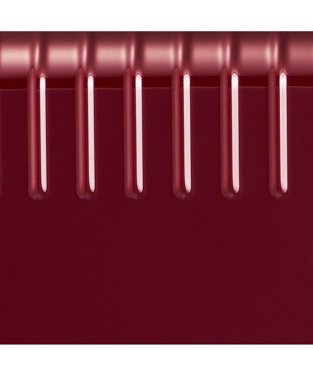 ACE BAGS & LUGGAGE ace. エース パリセイド3-Z 06914 スーツケース ジッパータイプ 52リットル レッド