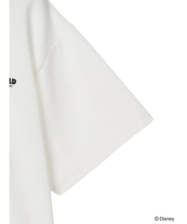 Green Parks オズワルド／ラインポロシャツ White