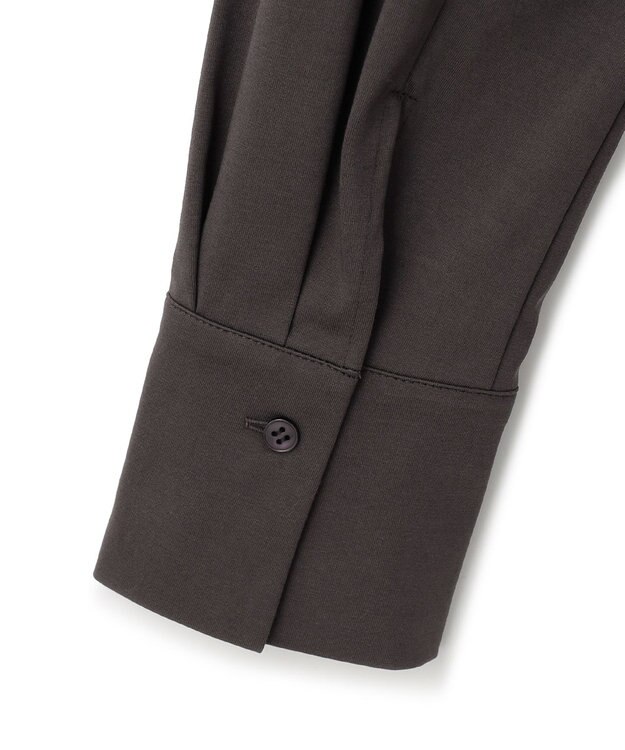 ICB 【洗える】ブラウスライクジャージー ボウタイデザインカットソー バーントブラウン系