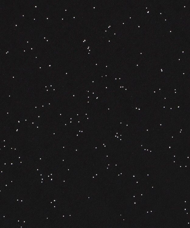 WEGO 【ユニセックス着用ITEM/MLサイズ展開】ラメグラフィックT（SS） ブラック