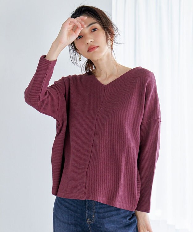 ANY 【洗濯機可能】Vネックニットソー ボルドー
