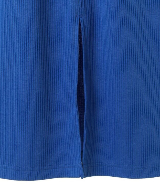 Green Parks Ｍｉｆｆｙ／カットリブＩラインスカート Blue