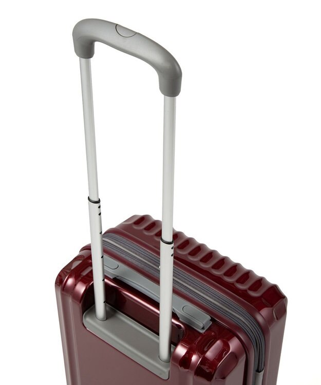 ACE BAGS & LUGGAGE ace. パリセイドZd 機内持ち込み Sサイズ 35～40L 06816 エース レッド