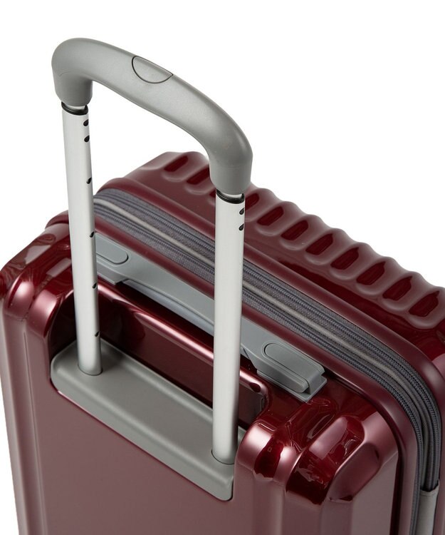 ACE BAGS & LUGGAGE ace. パリセイドZd 機内持ち込み Sサイズ 35～40L 06816 エース レッド