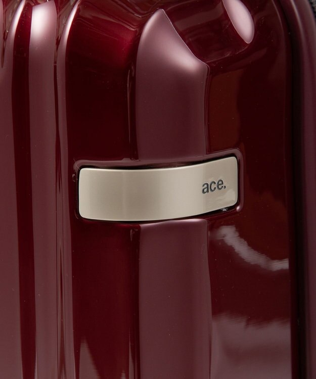 ACE BAGS & LUGGAGE ace. パリセイドZd 機内持ち込み Sサイズ 35～40L 06816 エース レッド