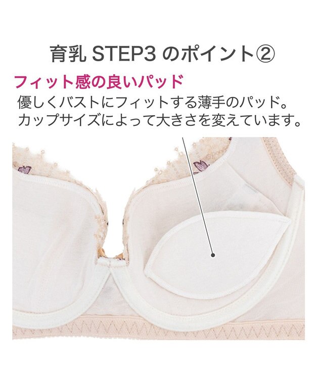 BRADELIS New York 【BRADELIS New York / 育乳STEP3 持ち上げる】ヴィオラステップ3ブラ23A1 美胸 谷間メイクする補正ブラ アイボリー
