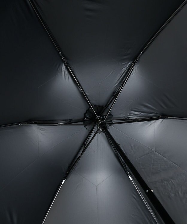 AURORA JILL STUART（ジル スチュアート）ミモザ刺しゅう晴雨兼用傘(折りたたみ傘) ブラック