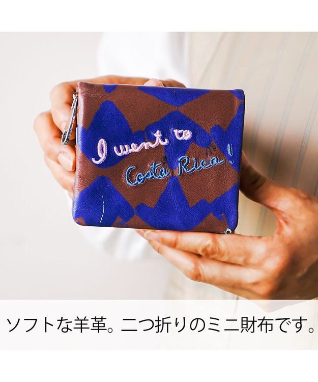 tsumori chisato CARRY コスタリカカエル 2つ折り財布 ミニ財布 【カラフル＆刺繍テクニック】 ブラウン