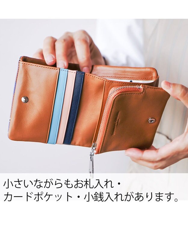 tsumori chisato CARRY コスタリカカエル 2つ折り財布 ミニ財布 【カラフル＆刺繍テクニック】 ブラウン