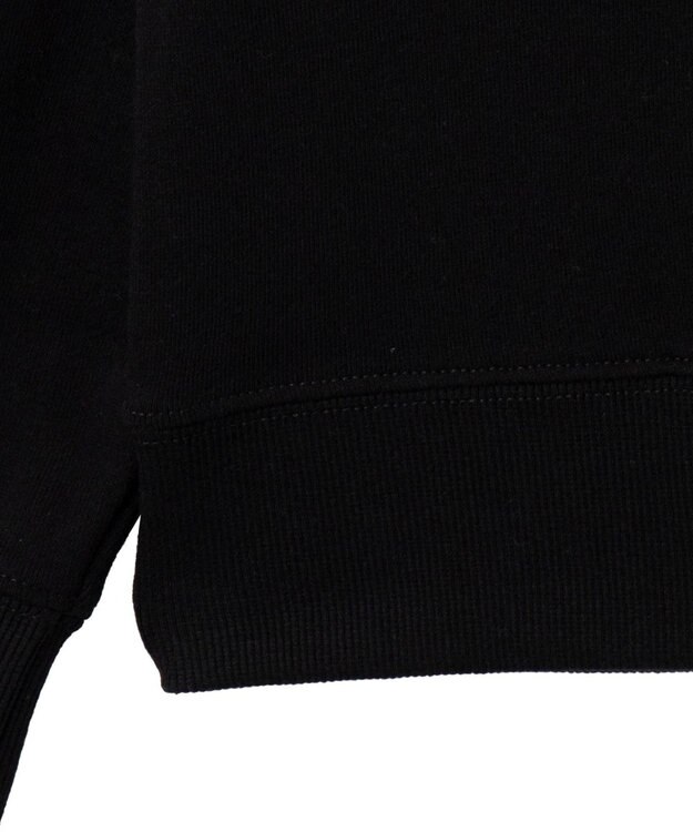 WEGO 【ユニセックス着用ITEM/裏起毛/SMLサイズ展開】リラックスフィットハートロゴプルオーバー ブラック