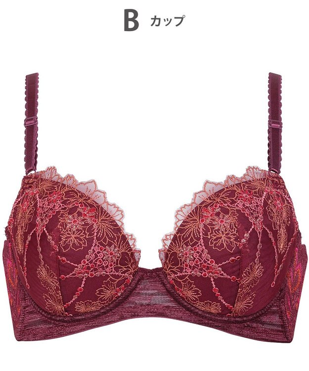 Wing ブラジャー 背中の段差をスムージング 脇高設計 脇から背中すっきり バストの脇流れをブロック 【後ろ姿きれいブラ】 ブラ KB2719 ウイング／ワコール エンジ