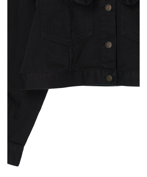 Green Parks ・Ｄｏｕｂｌｅ　Ｆｌａｇｓ　フリルカラージャケット Black