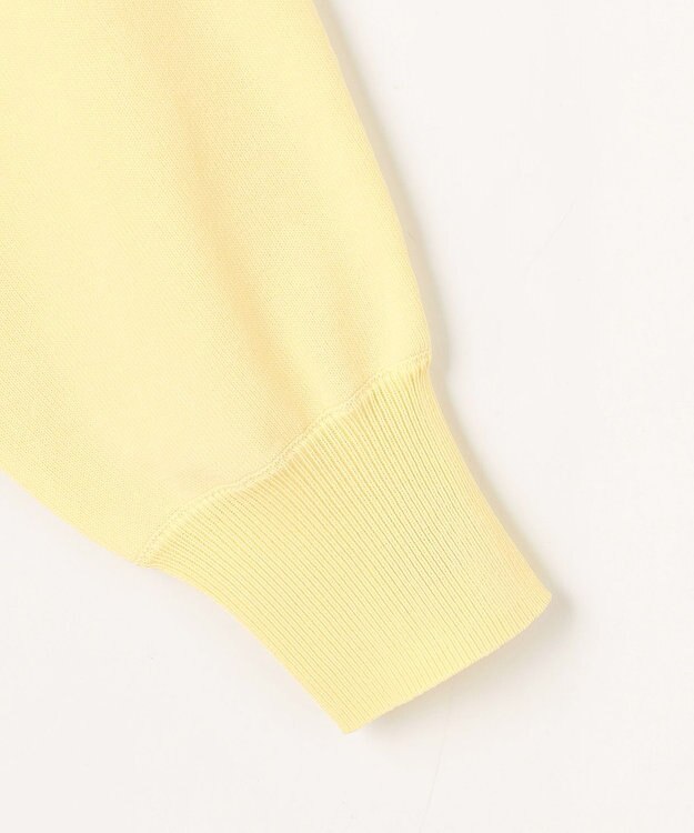 ANY スプリングカラーニットドルマンプルオーバー イエロー