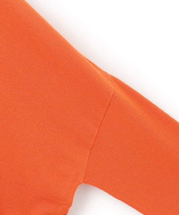 ICB 【洗える】ヴィスコースワイド ハイネックプルオーバー シナバー系