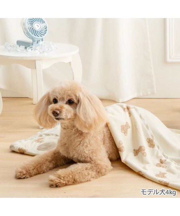 PET PARADISE ペットパラダイス くまちゃん クール ブランケット 《アイス柄》 ベージュ