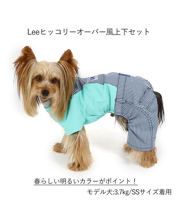 PET PARADISE 犬の服 犬 服 秋冬 Ｌｅｅ パンツ つなぎ 【小型犬】 ヒッコリー 青緑