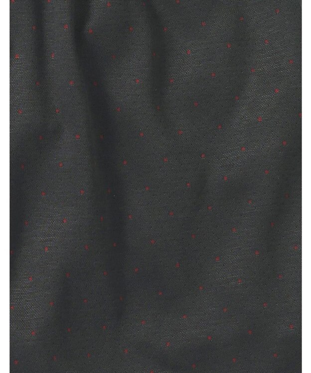 WACOAL MEN トランクス なめらかな肌ざわり やわらかなはき心地 ニット素材 前開き GT7070 /ブロス エンジ