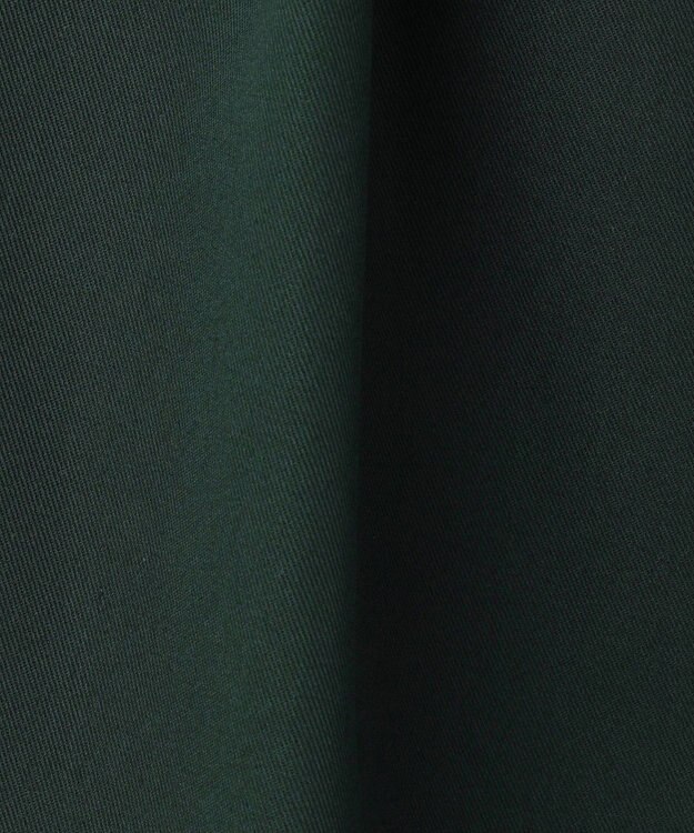 BEIGE， 【洗える】GAZANIA / コットンチノ2タックワイドパンツ Forest Green