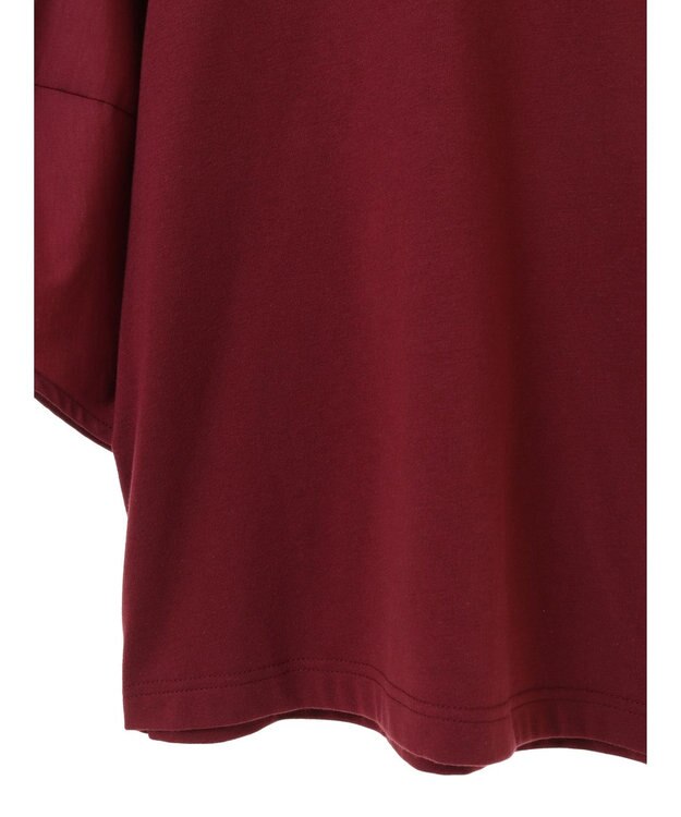 Green Parks ・ＥＬＥＮＣＡＲＥ　ＤＵＥ　バックＺＩＰハイブリットＴ Bordeaux