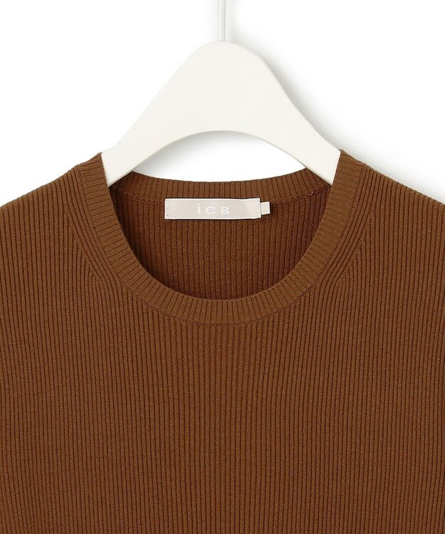 ICB L 【CLASSY.1月号掲載・洗える】ハイゲージリブベーシック プルオーバーニット コーヒー系