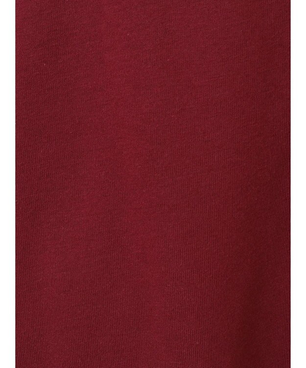 Green Parks ・ＥＬＥＮＣＡＲＥ　ＤＵＥ　バックＺＩＰハイブリットＴ Bordeaux