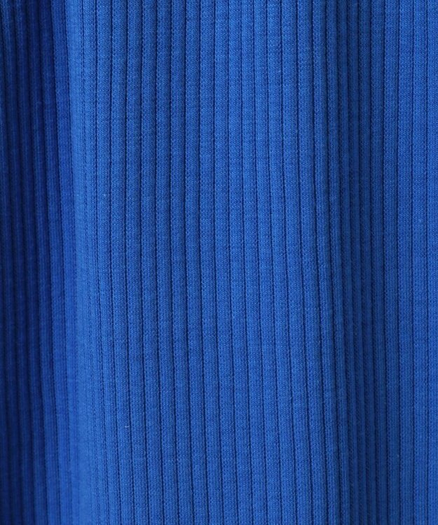 Green Parks Ｍｉｆｆｙ／カットリブＩラインスカート Blue