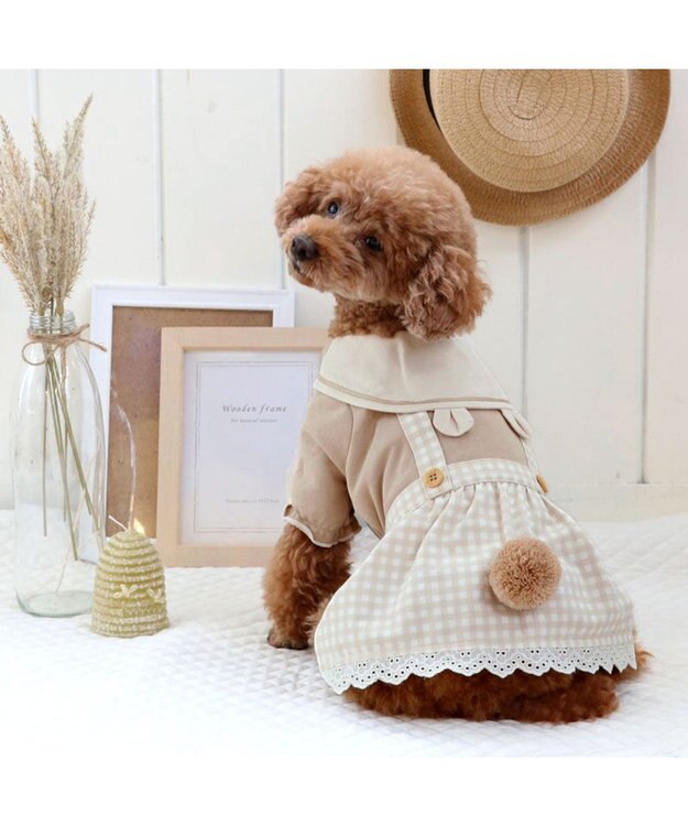 PET PARADISE ペットパラダイス くまちゃん ワンピース 小型犬 ベージュ