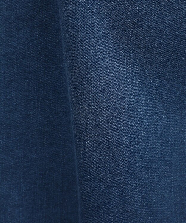 CRAFT STANDARD BOUTIQUE 裏起毛デニムＡラインスカート Blue